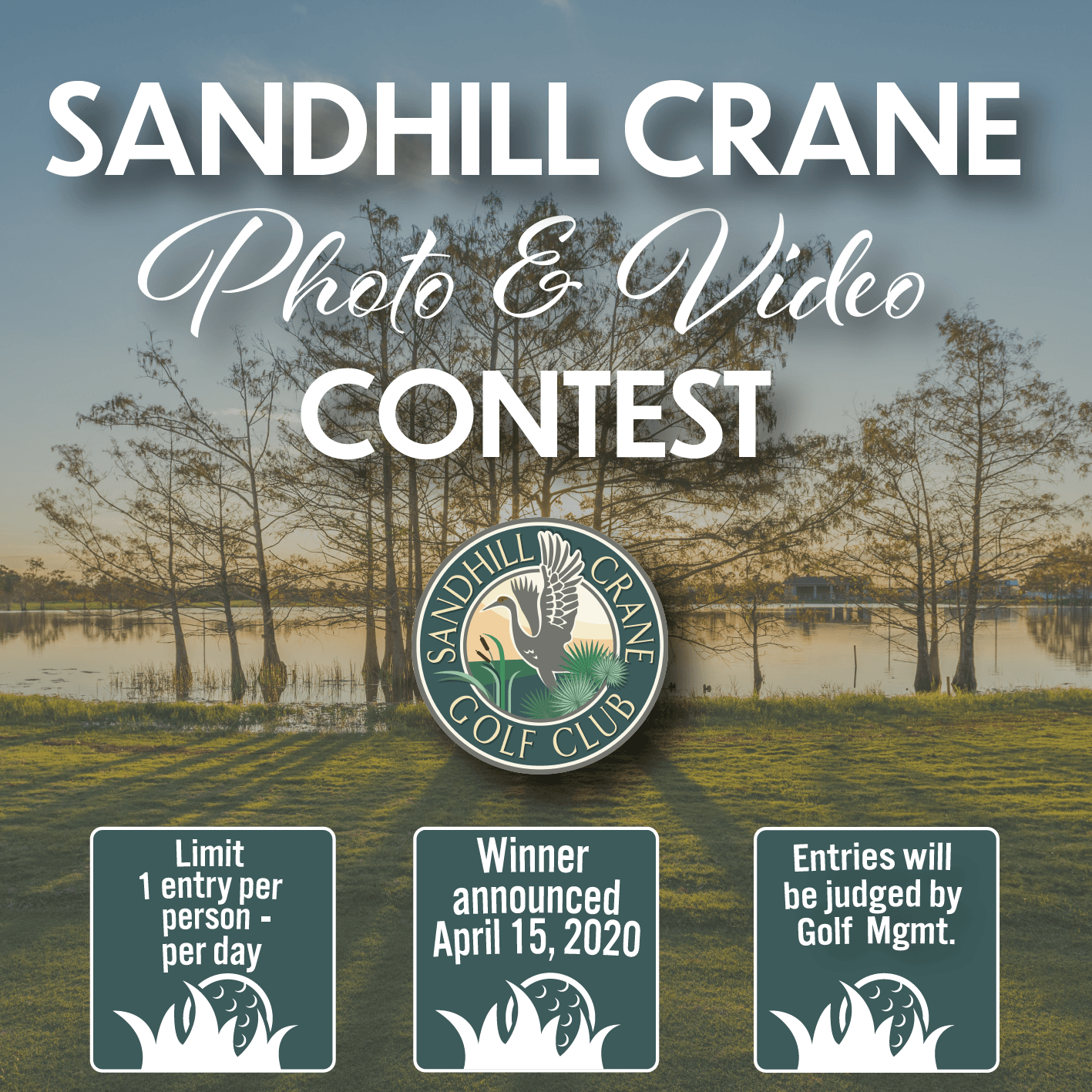 Sandhill Crane Photo and Video Contest