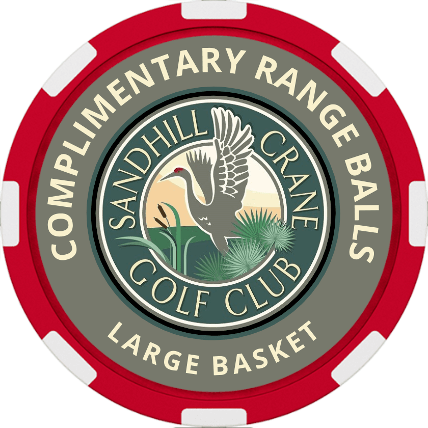 large range poker chip