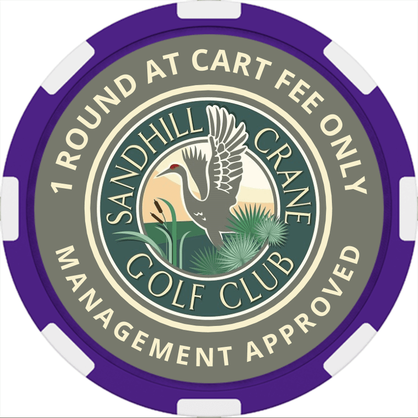 Management CFO poker chip