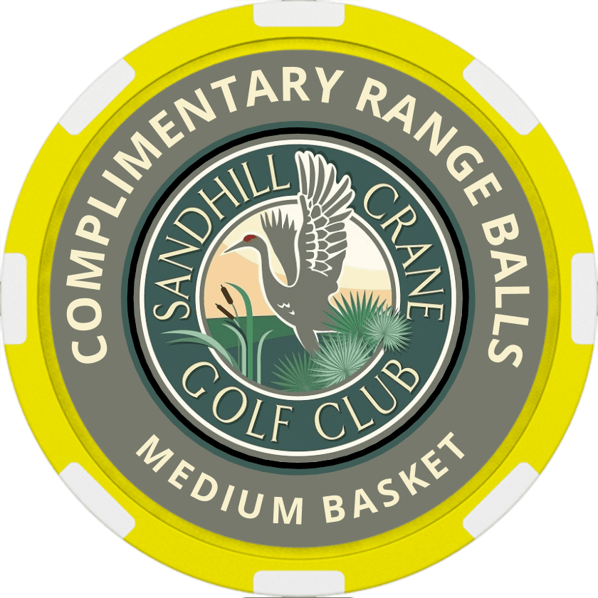 Medium range poker chip