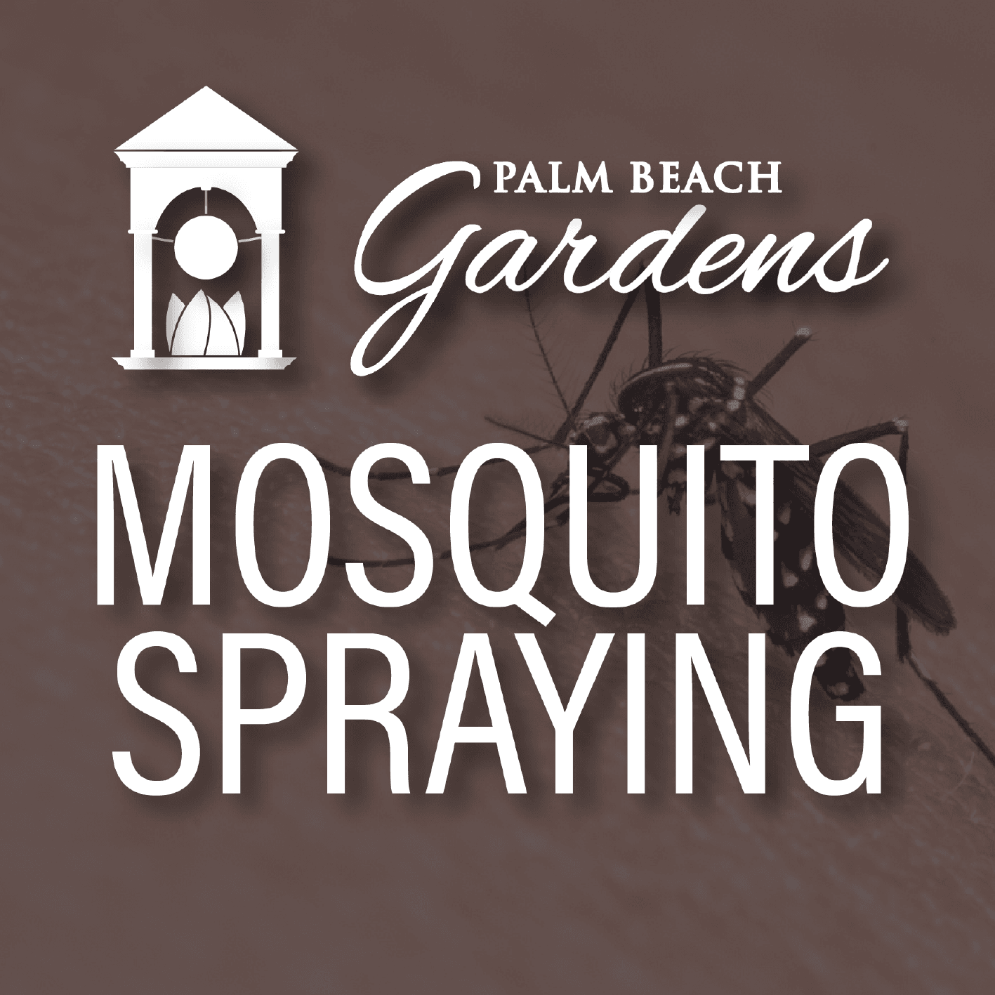 Mosquito Spraying
