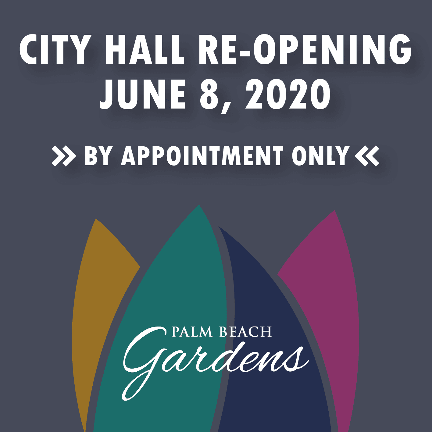 City Hall Re-opening
