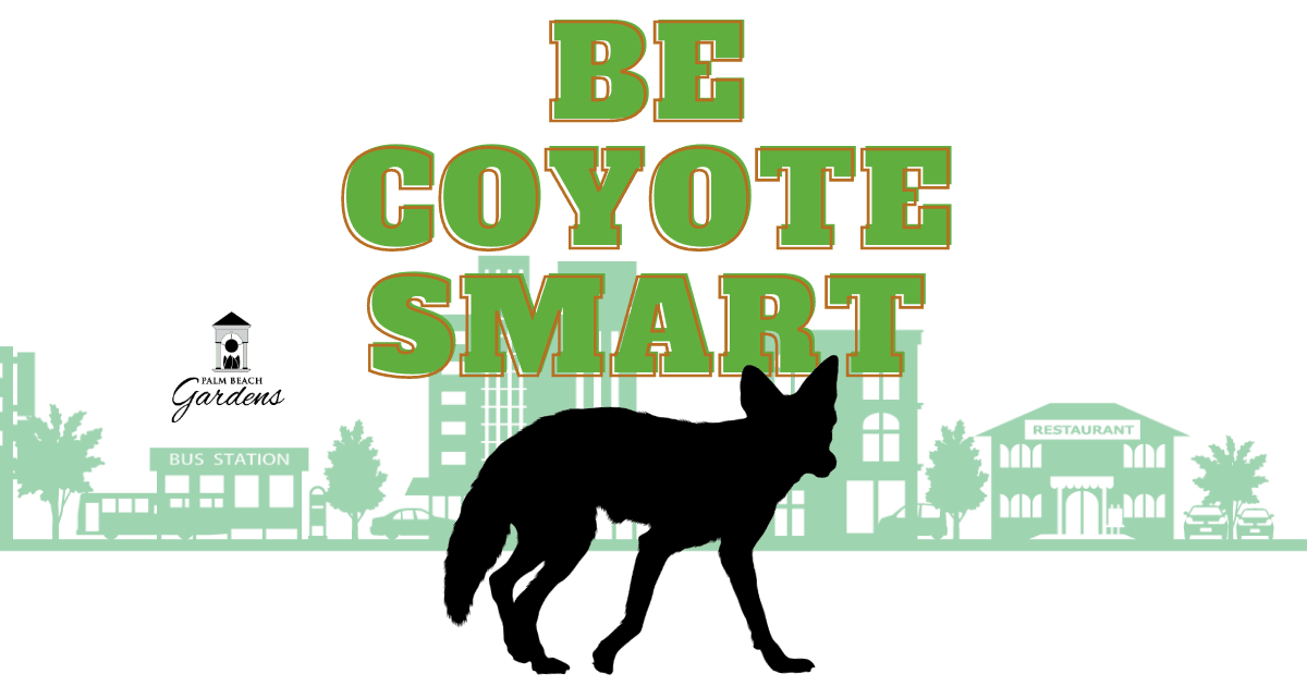 Be Coyote SMART.