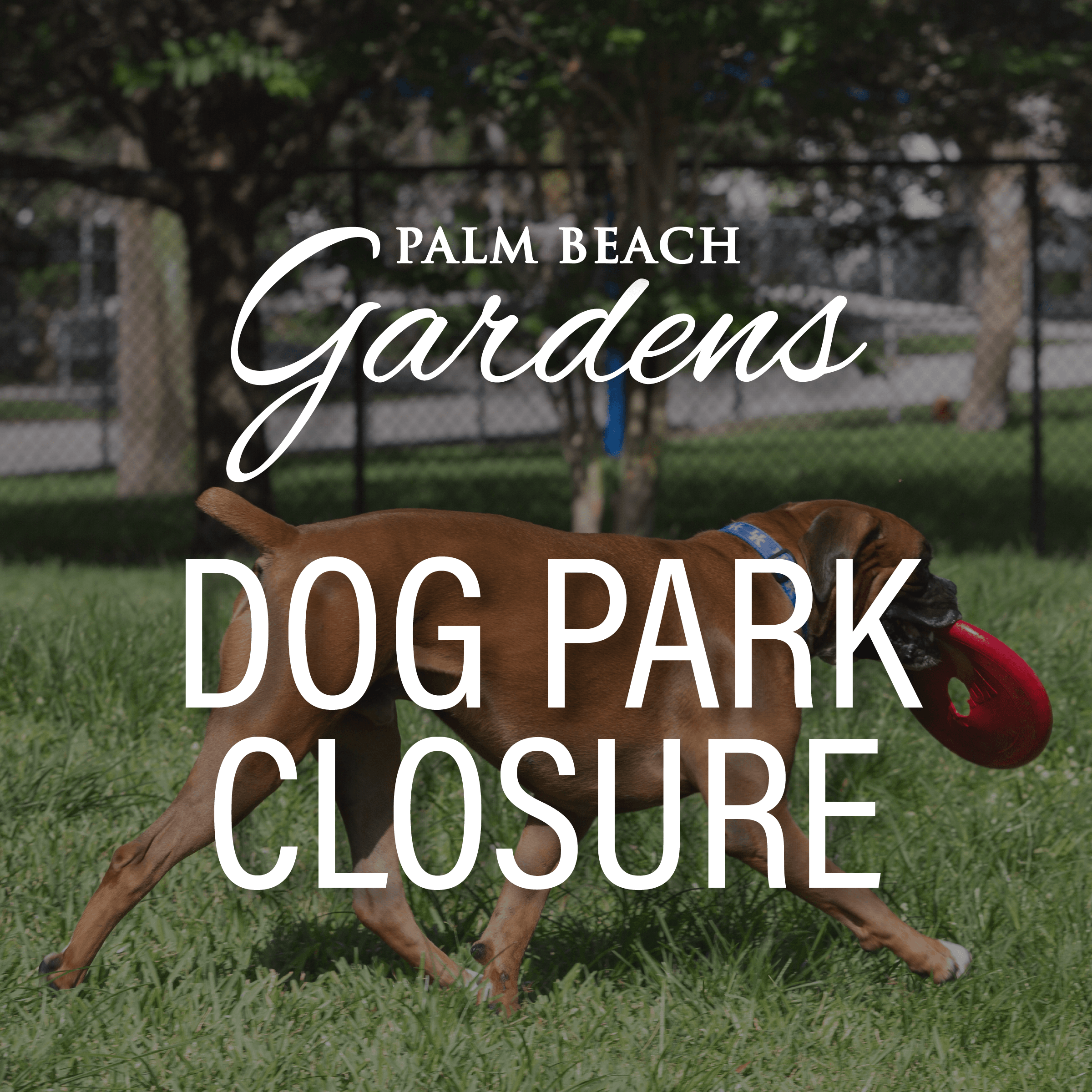 dog park closure advistory