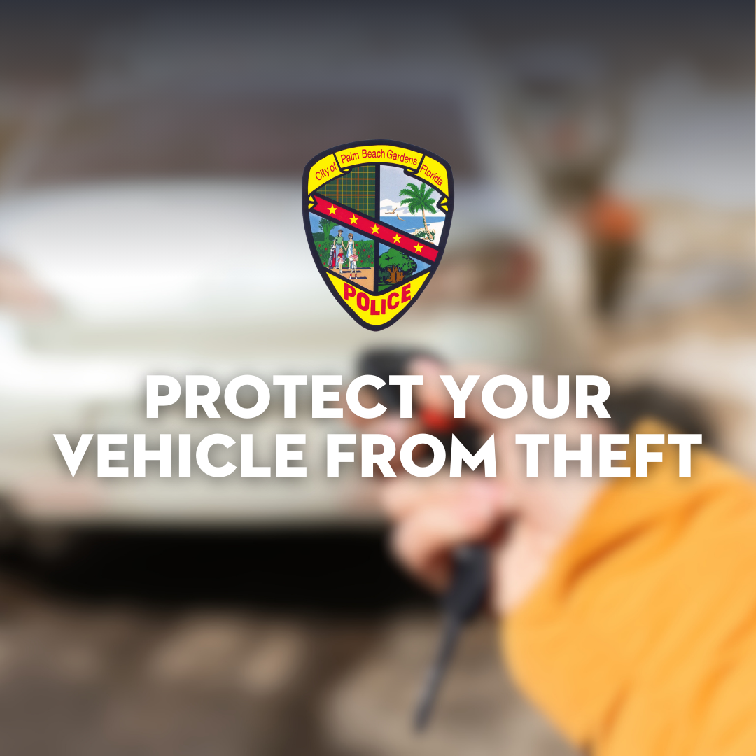 Protect your Vehicle from theft.