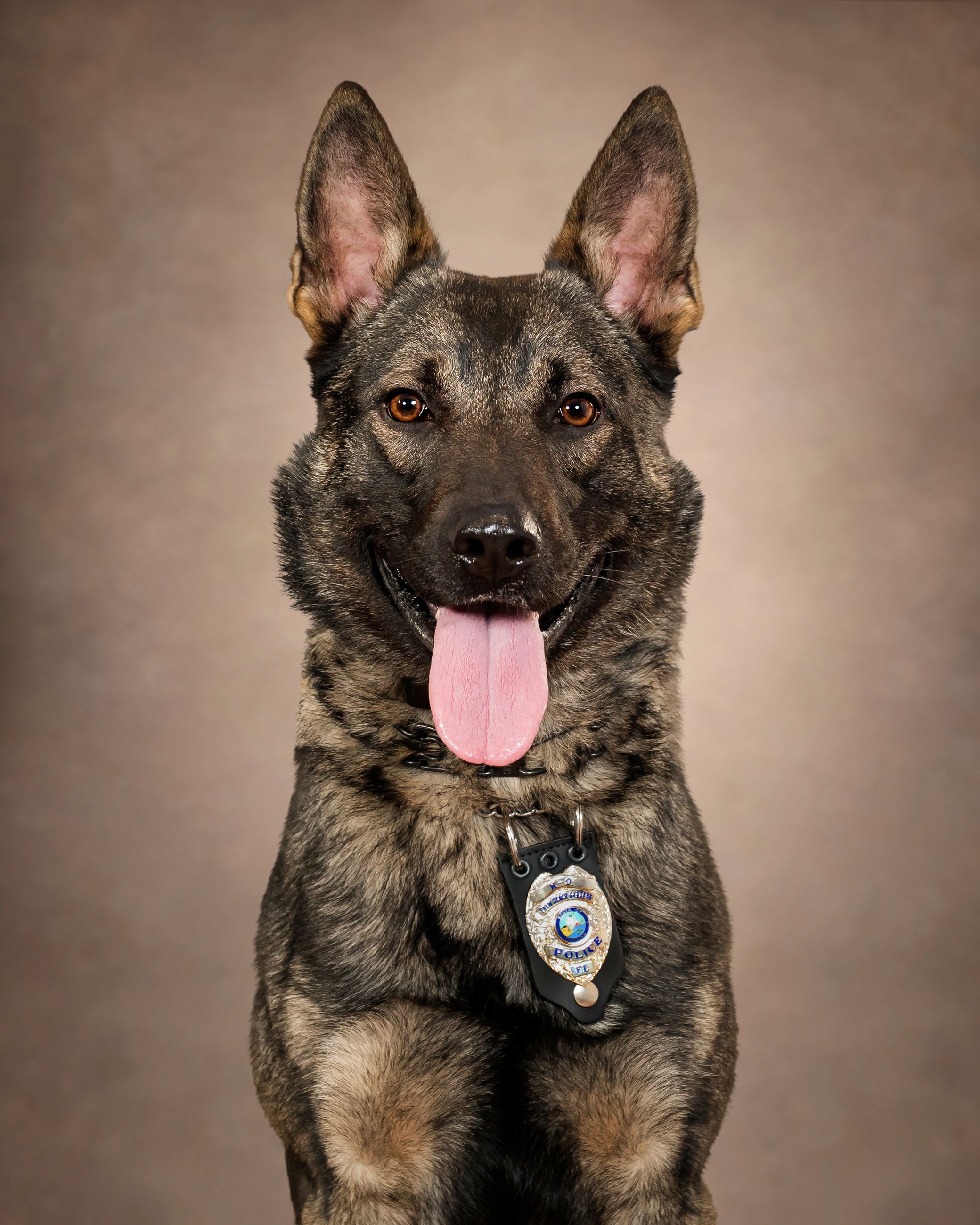 police k9.