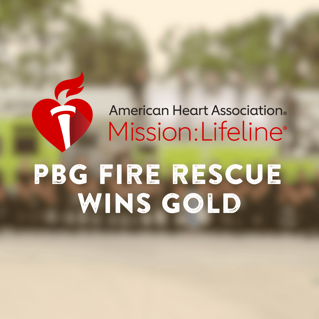 Mission lifeline award.