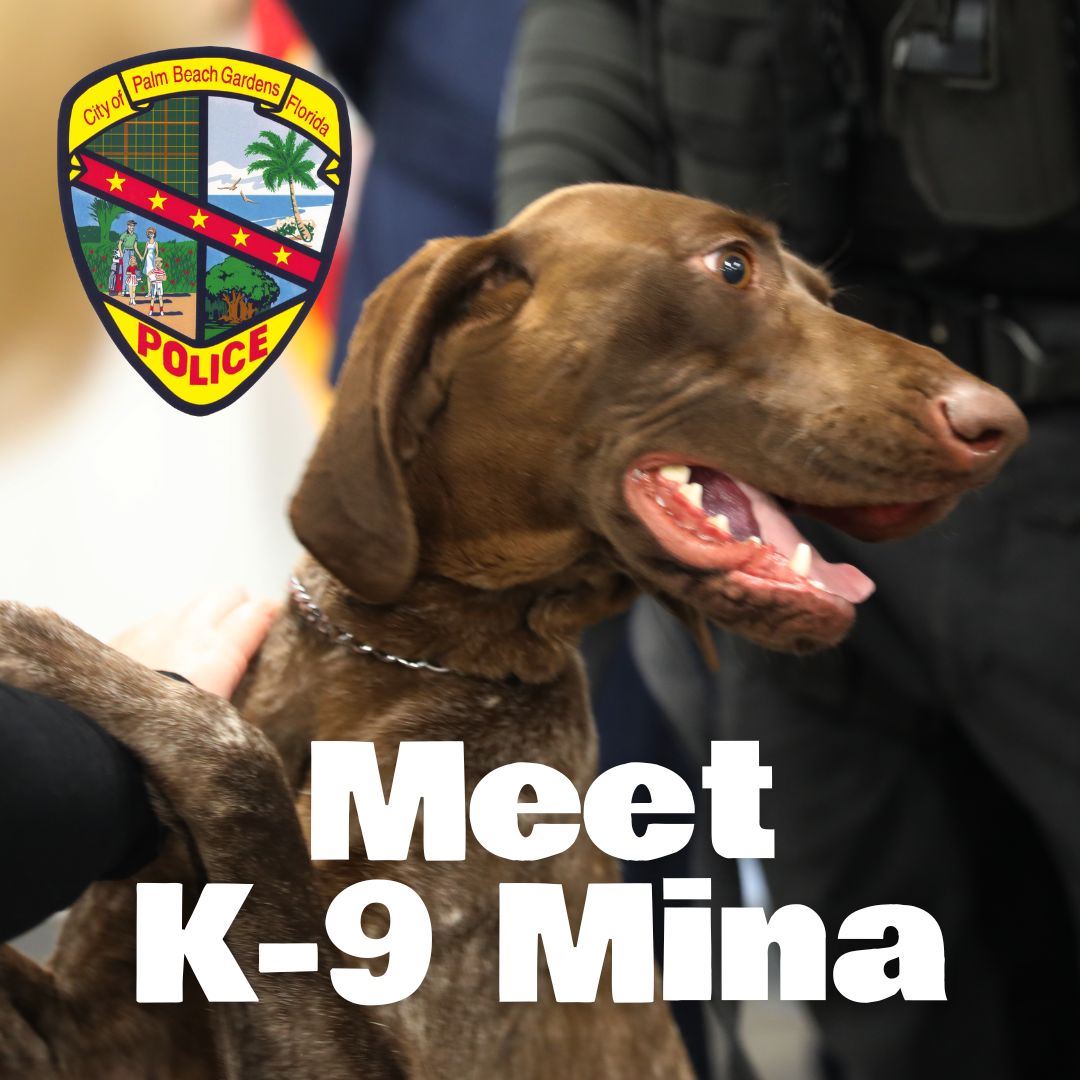 K-9 Mina.