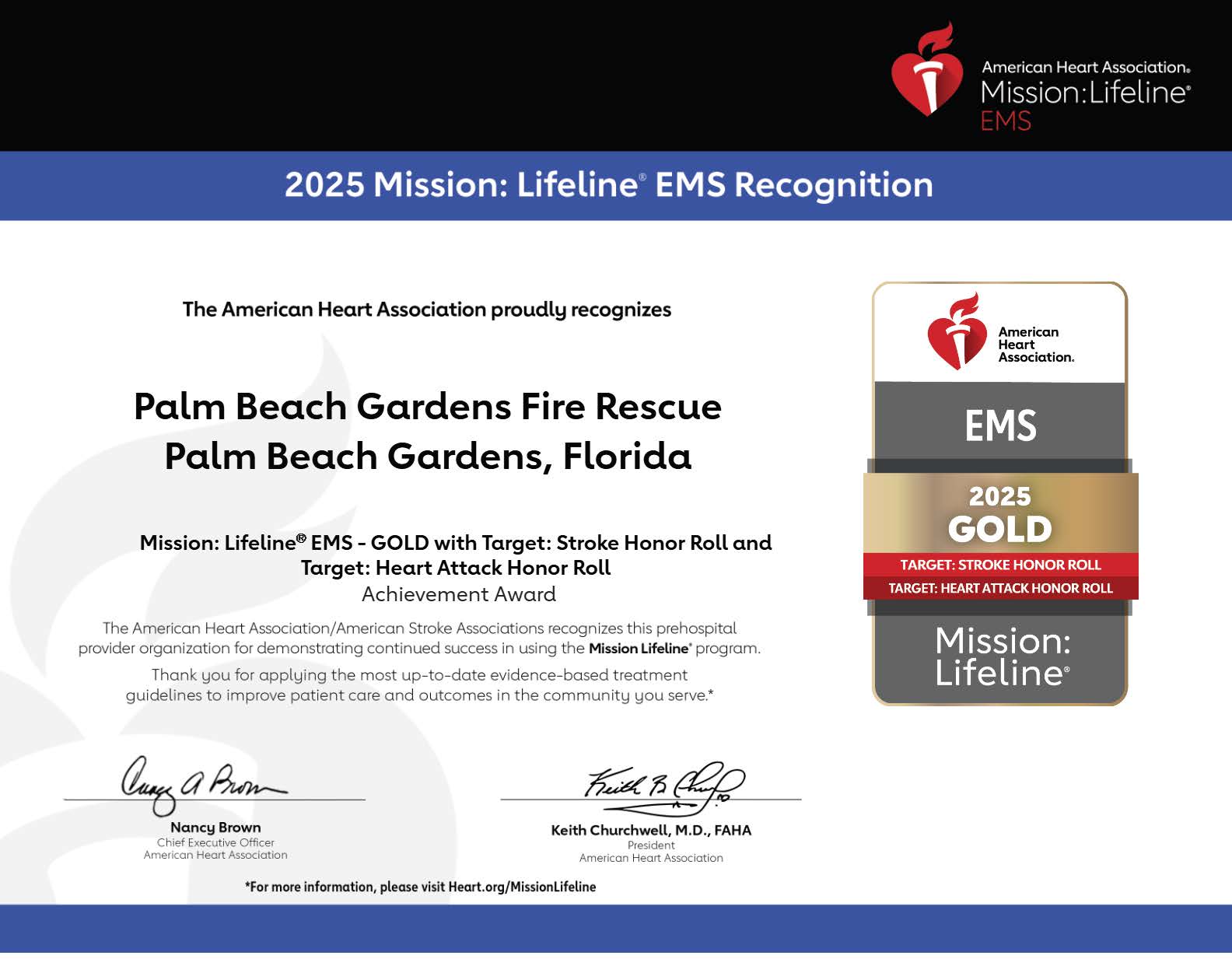 mission lifeline_GoldTarget_3AHeartAttack_26Stroke