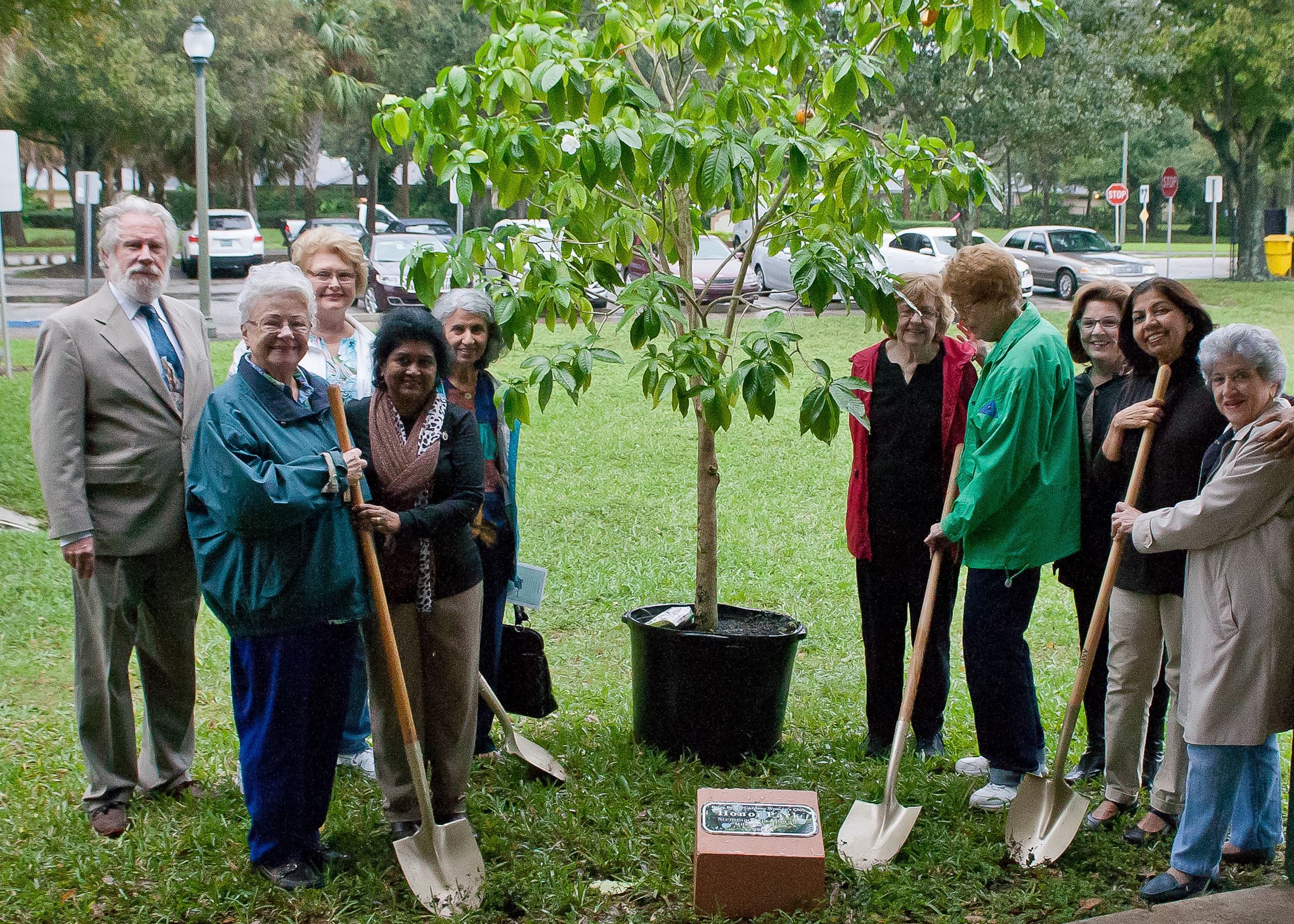 Arbor Day 2016 planting a tree