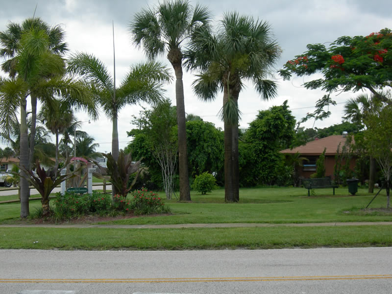 View of park with trees and pavilion.