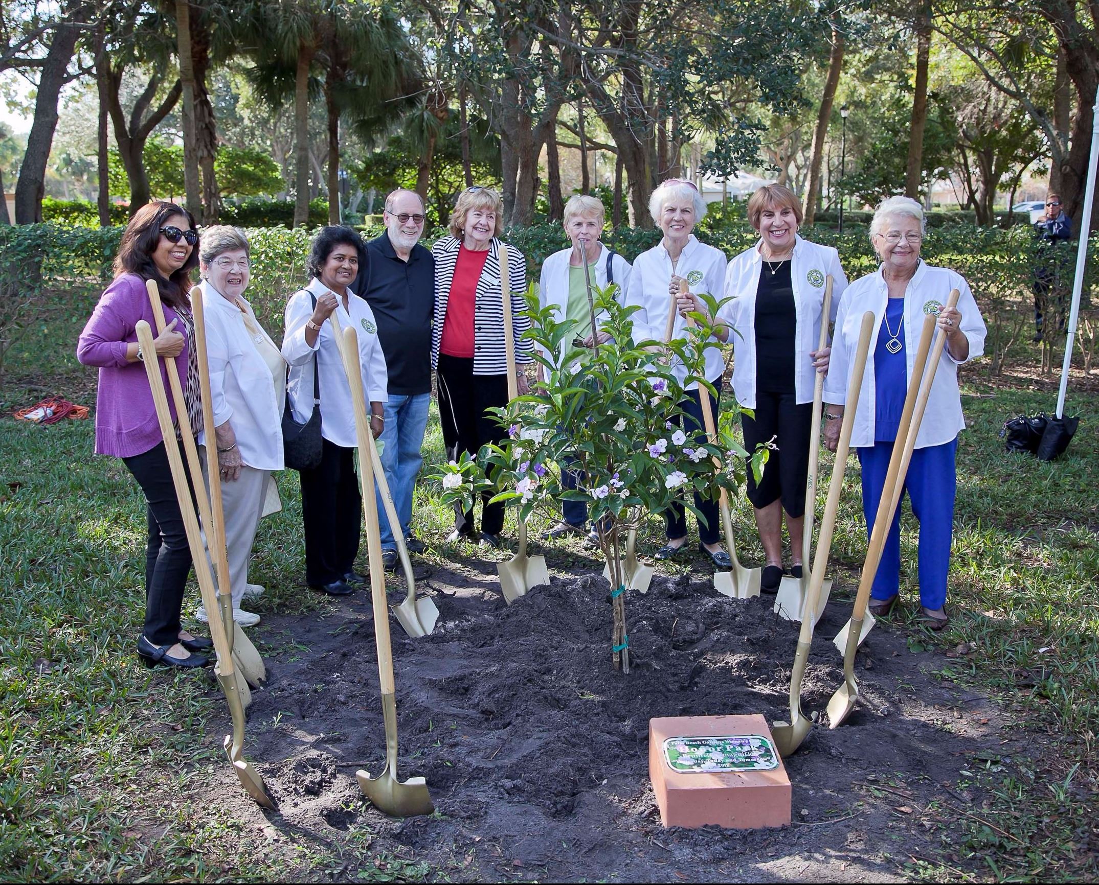 Arbor Day 2017 planting a  tree
