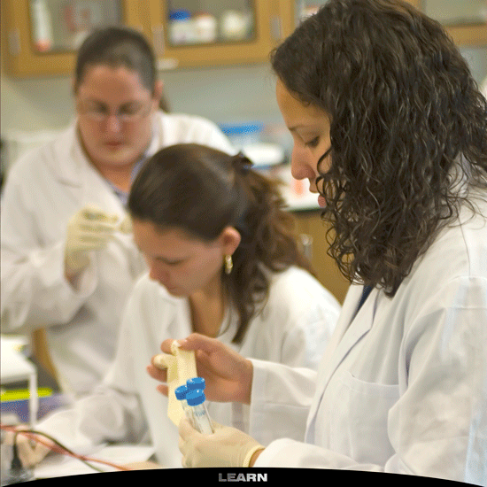 People in a Laboratory
