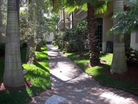 Cielo Drive Restored Grass Areas