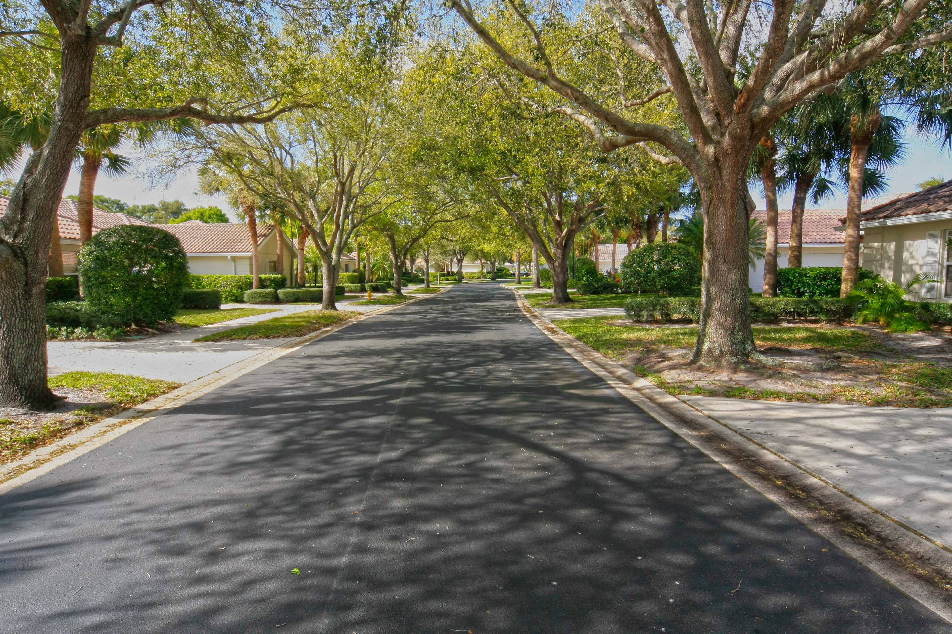 Street with tree canopy