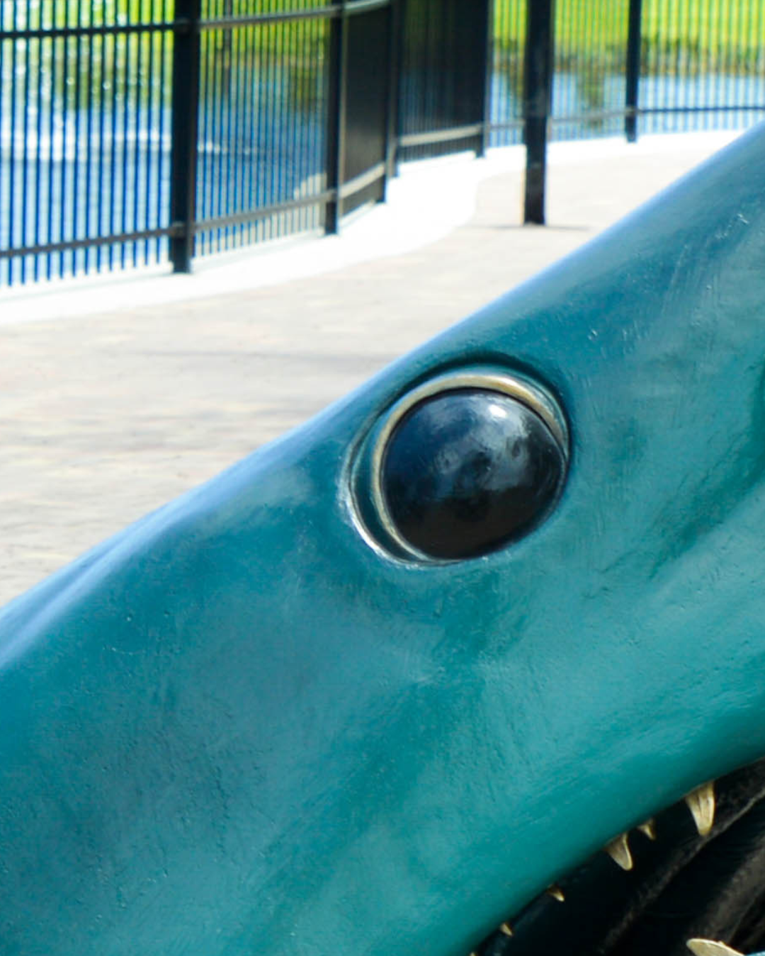 Scavenger Hunt Clue 6.1