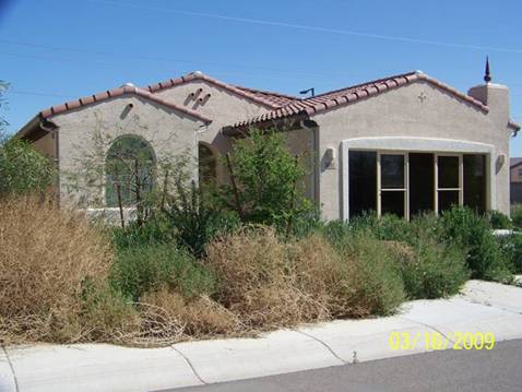 Code Violation Before Corrections